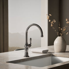 Artifacts Single-Hole Kitchen Faucet with Swing Spout, Arc Spout Design in Vibrant Titanium | product photo