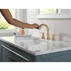 Trinsic Bathroom Faucet with Sprayer in Champagne Bronze | product photo