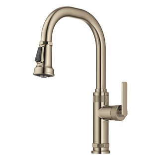 Allyn Industrial Pull-Down Single Handle Kitchen Faucet in Gold