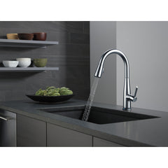 Essa Single Handle Kitchen Faucet in Arctic Stainless | product photo
