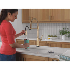 Renaldi Touchless Pull-Down Kitchen Faucet with Touch Technology in Lumicoat Champagne Bronze | product photo