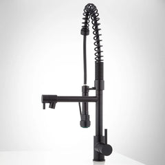 Levi Pull Down Single Handle Kitchen Faucet with Accessories in Black | product photo