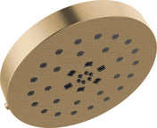 Multi Function Adjustable Shower Head in Lumicoat Champagne Bronze