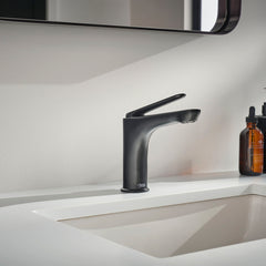 Single-handle Bathroom Faucet with Drain Assembly in Black | product photo