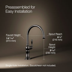 Artifacts Single-Hole Kitchen Faucet with Swing Spout, Arc Spout Design in Vibrant Titanium | product photo