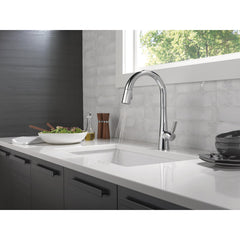 Monrovia Pull Down Single Handle Kitchen Faucet in Chrome | product photo
