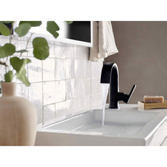 Doux Single Hole Bathroom Faucet with Drain Assembly in Matte Black | product photo