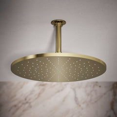Contemporary 14 In. Round Single-Function Rainhead 2.5 Gpm in Gold | product photo