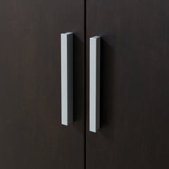 Accent Cabinet with 2 Doors in Black Solid Wood with Silver Iron Base