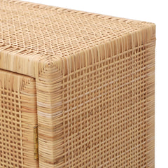 Accent Cabinet with 2 Doors in Natural Rattan and Mahogany