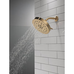Multi Function Adjustable Shower Head in Lumicoat Champagne Bronze | product photo