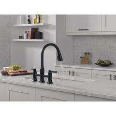 Renaldi Matte Black Kitchen Faucet with Pull Down Sprayer | product photo