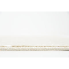 Area Rug, 10 ft x 13 ft 1 in with Beige Polypropylene