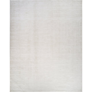 Area Rug, 10 ft x 14 ft in Beige and Ivory