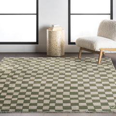 Area Rug, 10' x 13', Green Checkered with Fringe