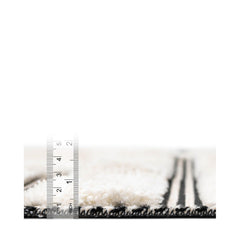 Area Rug, 6'1" x 9' in Ivory/White with High-Low Pile