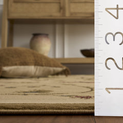 Area Rug, 6'7" x 9'6" with Ivory Floral Pattern