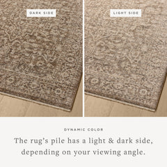 Area Rug 7'10" x 10'2" in Polyester with Brown, Beige, Gray and Taupe