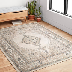 Area Rug, 7'11" x 10'6", Oatmeal and Ivory with Denim Blue Accents