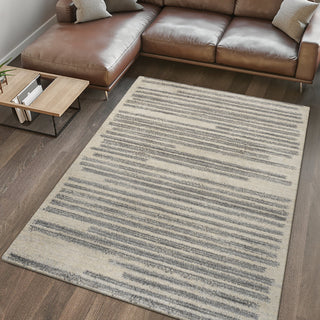 Area Rug, 7'9" x 10' Striped Moroccan Pattern in Cream/Gray