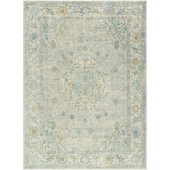 Area Rug, 7 ft 10 in x 10 ft, Blue and Tan Oriental Pattern