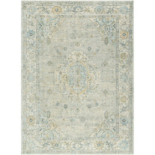 Area Rug, 7 ft 10 in x 10 ft, Blue and Tan Oriental Pattern