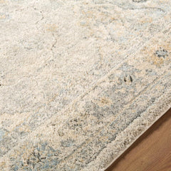Area Rug, 7 ft 10 in x 10 ft, Blue and Tan Oriental Pattern