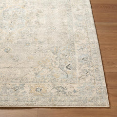 Area Rug, 7 ft 10 in x 10 ft, Blue and Tan Oriental Pattern