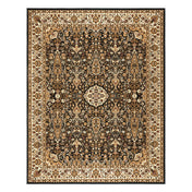 Area Rug, 7 ft 10 in x 10 ft, Polypropylene with Traditional Pattern