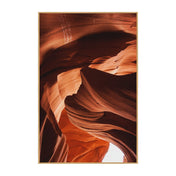 Area Rug, 7 Ft x 10 Ft Rectangle in Orange with Cotton and Polyester
