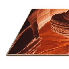 Area Rug, 7 Ft x 10 Ft Rectangle in Orange with Cotton and Polyester