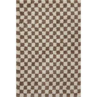 Area Rug, 9 Ft x 12 Ft in Brown and White Checkered