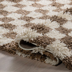 Area Rug, 9 Ft x 12 Ft in Brown and White Checkered