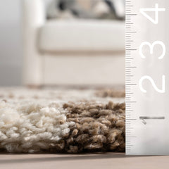 Area Rug, 9 Ft x 12 Ft in Brown and White Checkered