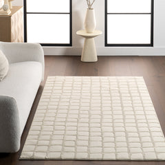 Area Rug, Checkered Recycled Polyester in Beige