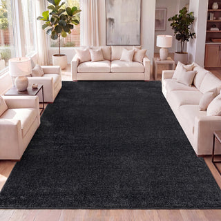 Area Rug, Rectangle 10 ft x 14 ft in Black Polypropylene