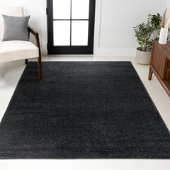 Area Rug, Rectangle 10 ft x 14 ft in Black Polypropylene