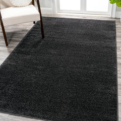 Area Rug, Rectangle 10 ft x 14 ft in Black Polypropylene