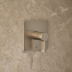 Parallel Rite-Temp Shower Head, 1.75 GPM in Vibrant Brushed Bronze | product photo