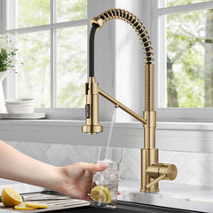 Bolden 2-in-1 Commercial Style Pull-Down Single Handle Water Filter Kitchen Faucet for Reverse Osmosis or Water Filtration System in Brushed Brass | product photo