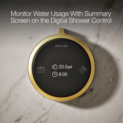 Anthem Duo Two-Outlet Shower Digital Control in Brushed Brass | product photo