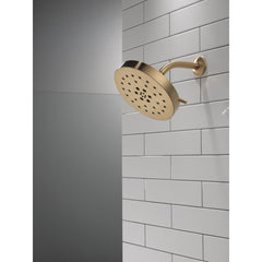 Multi Function Adjustable Shower Head in Lumicoat Champagne Bronze | product photo