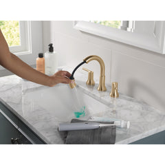 Trinsic Bathroom Faucet with Sprayer in Champagne Bronze | product photo
