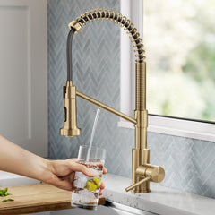 Bolden 2-in-1 Commercial Style Pull-Down Single Handle Water Filter Kitchen Faucet for Reverse Osmosis or Water Filtration System in Brushed Brass | product photo
