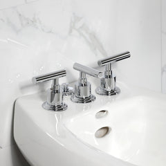 Bidet Faucet, Manhattan, Three-Handle Vertical Spray in Polished Chrome