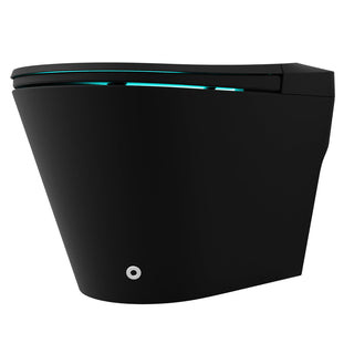 Bidet Toilet, Echo, Elongated, Comfort Height, Floor Mounted, Matte Black