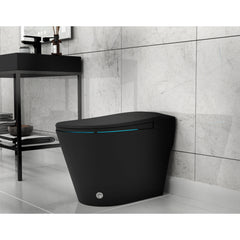 Bidet Toilet, Echo, Elongated, Comfort Height, Floor Mounted, Matte Black