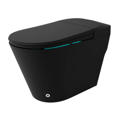 Bidet Toilet, Echo, Elongated, Comfort Height, Floor Mounted, Matte Black