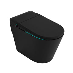 Bidet Toilet, Echo, Elongated, Comfort Height, Floor Mounted, Matte Black