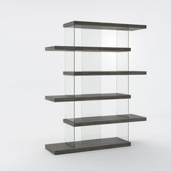 Bookcase, Geometric Glass Frame with Adjustable Shelves, Clear and Gray